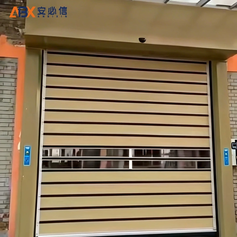拉萨雷达高速门